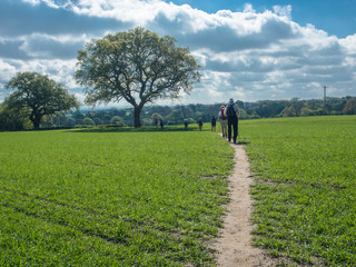 Fototapeta premium Hiking farm fields, Yorkshire, England