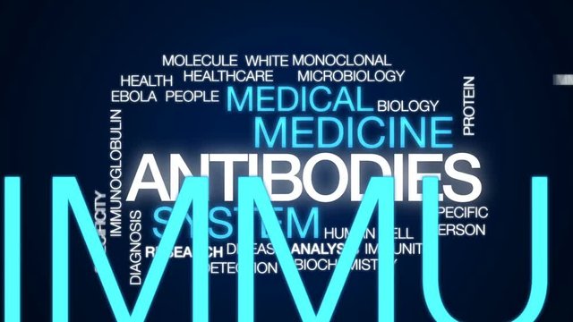 Antibodies animated word cloud, text design animation.