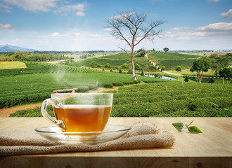Warm cup of tea and tea leaf on wooden table with the tea plantations background