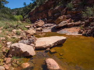 Fall color, West Fork, Sedona Arizona