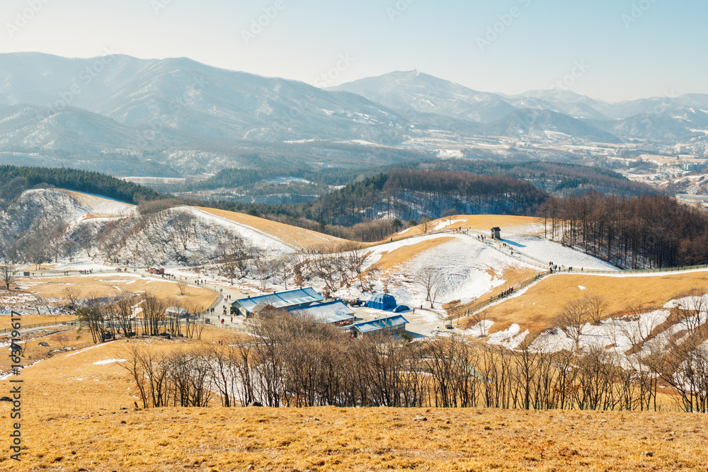 Canvas Prints dry grass field and mountain and snow and winter landscape in daegwallyeong sheep ranch, pyeongchang