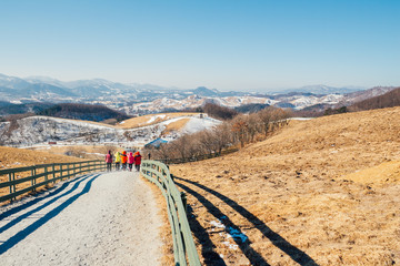 Dry grass field and mountain and snow and winter landscape in Daegwallyeong sheep ranch, Pyeongchang, Korea