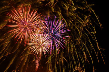Fireworks celebration and the midnight sky background.