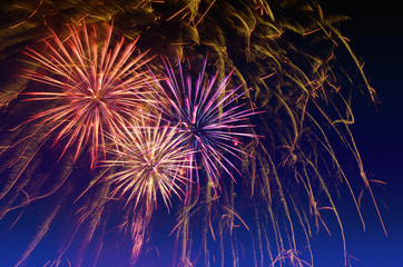 Fireworks celebration and the twilight sky background.