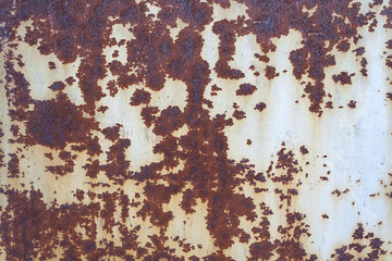 Colored rusty metal iron wall background