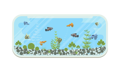 Cartoon vector home aquarium illustration with water, plants and fish.