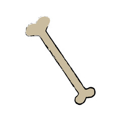 human bone anatomy orthopedic medical