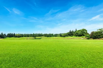Foto auf Acrylglas Wiese, Sumpf Grünes Feld und blauer Himmel