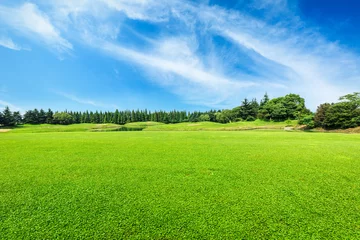 Gordijnen Green field and blue sky © ABCDstock