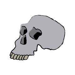 skull human structure anatomy bone icon