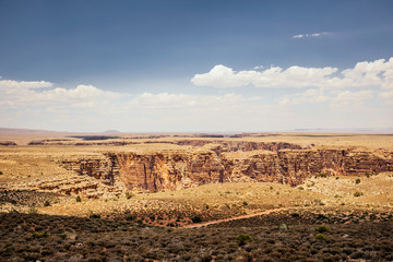 Picturesque sunny desert of Arizona