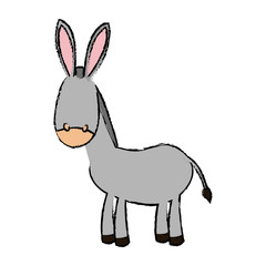 Fototapeta na wymiar cute donkey cute