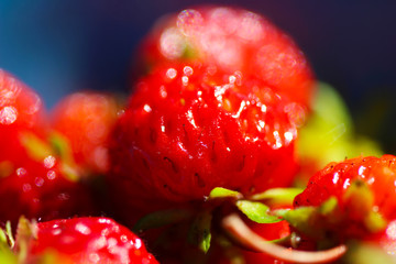 Red Strawberry