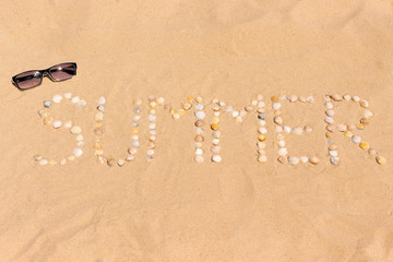 abstract word summer made of seashells on a sand with sunglasses