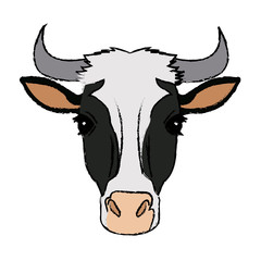 cow head horns aminal rural farm