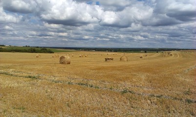 Obraz premium Charente