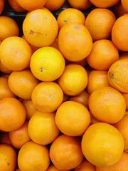 fresh orange background