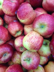 fresh apple background