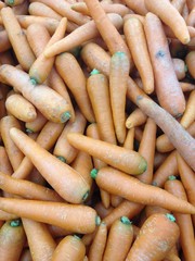 fresh carrot background