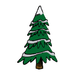 christmas tree pine decoration ornament