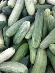 fresh cucumber background in market.