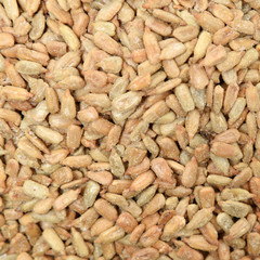 Roasted sunflower seeds