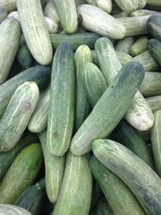fresh cucumber background in market.