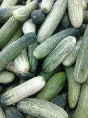 fresh cucumber background in market.