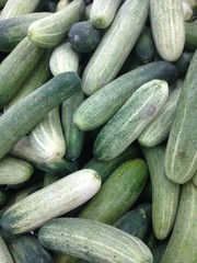 fresh cucumber background in market.