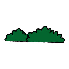 bush natural forest garden image