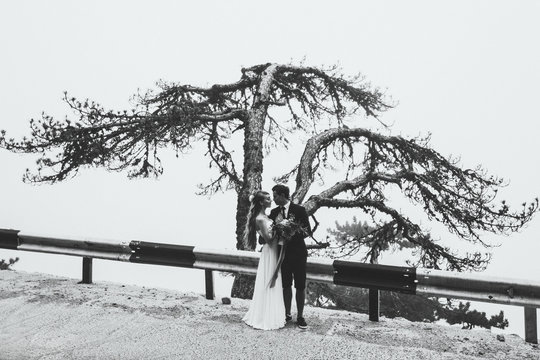 Portrait newlyweds with background of huge tree in the mist.