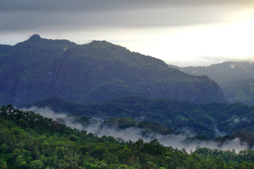 Morning mist with mountain range and trees in Mae Hong Sorn province, north of Thailand