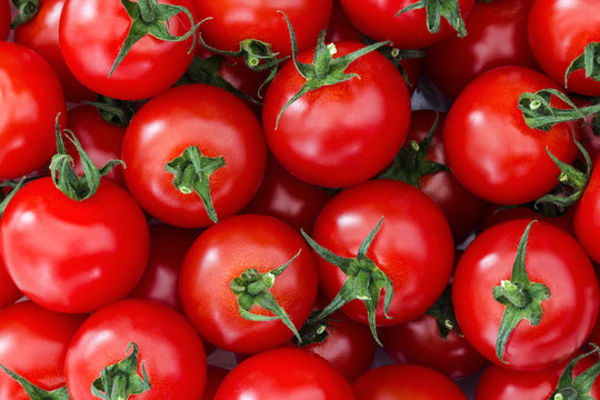 Fresh Tomatoes./Fresh Tomatoes