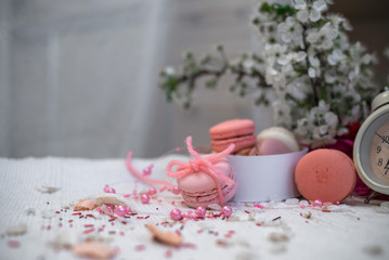 Tender pastel pink and orange macaroons on a white blanket and background
