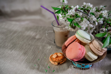 Multicolored macarons in metal silver vase on a pastel background with hot cocoa drink