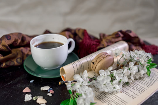 Reading a book with cup of coffee or tea and warm scarf and cherry branch in blossom