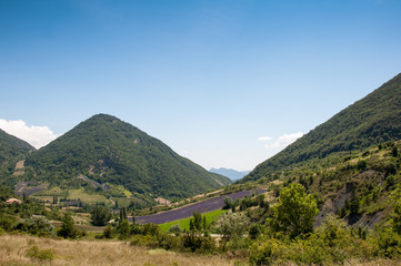 Naklejka premium Paysage Drôme Provençal