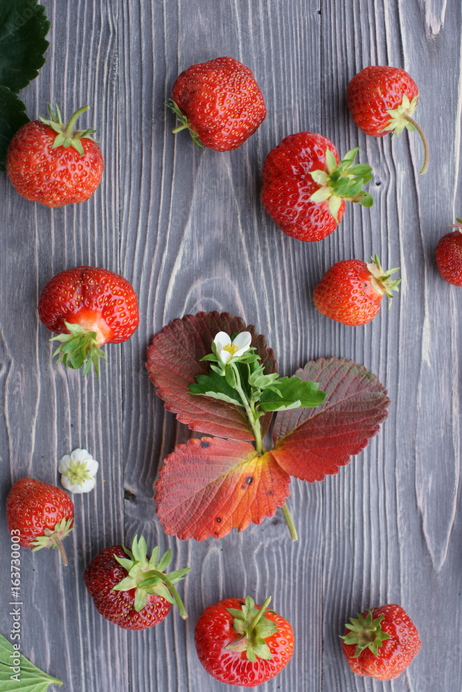 Wall mural strawberry