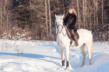 Nice girl and white horse in a forest in a winter