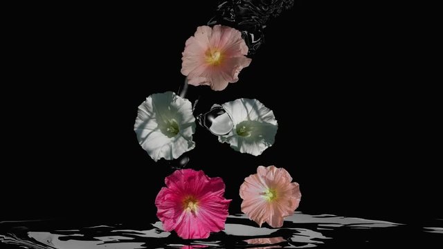 Wildblumen im Wasser