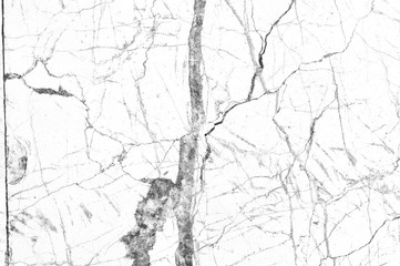 Obraz premium White marble luxury decor pattern texture unique background