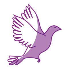 dove bird icon over white background vector illustration