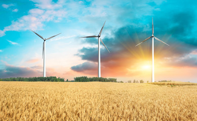 Ripe wheat field and wind power generation landscape at sunset
