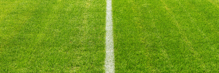Fototapeta premium Mittellinie im Stadion