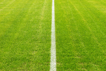 Obraz premium Mittellinie im Stadion