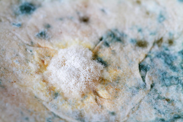 Fungus and mold on pita bread. Closeup. Selective focus