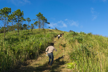 Unidentifind people run and walk up to the mountain with blue sky.