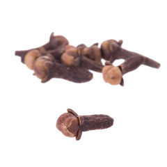 Clove spice closeup isolated on a white background
