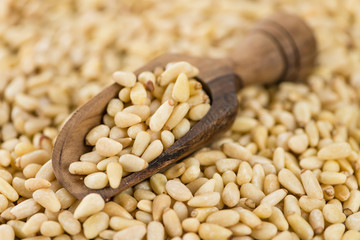 Pine Nuts (selective focus)