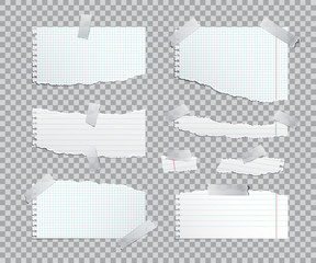 Torn copybook paper sheets with adhesive tape. Vector illustration.